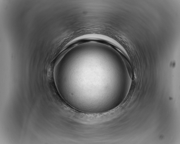 X0000099450037200805091515