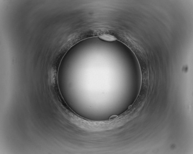 X0000099450038200805091515