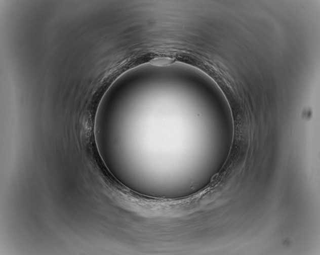 X0000099450040200805091515