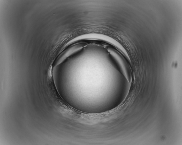 X0000099450041200805091515