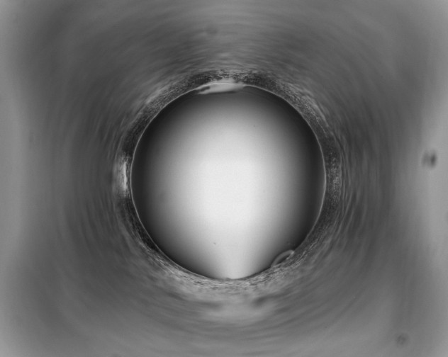 X0000099450042200805091515
