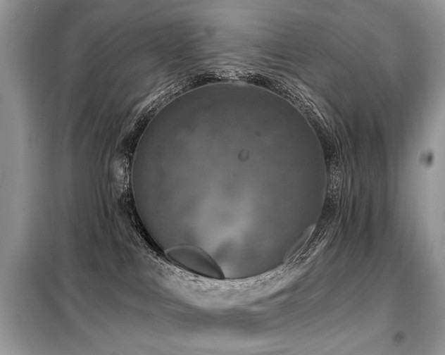 X0000099450043200805091515