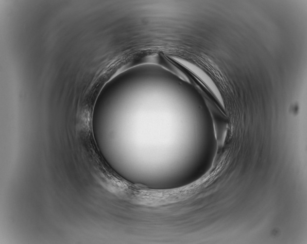 X0000099450045200805091515