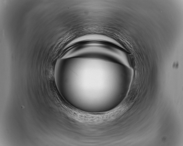 X0000099450048200805091515