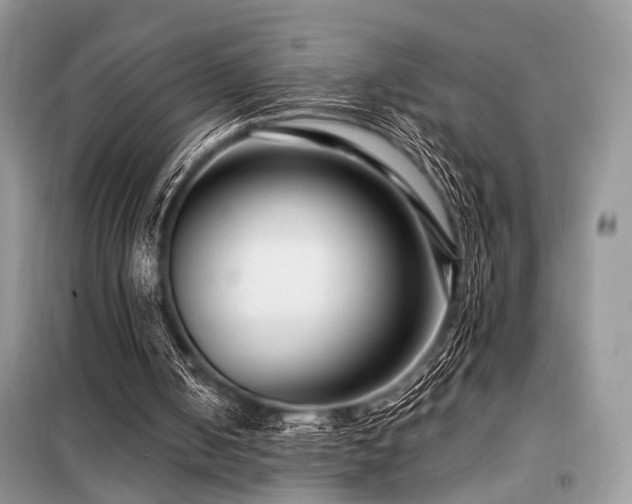 X0000099450050200805091514