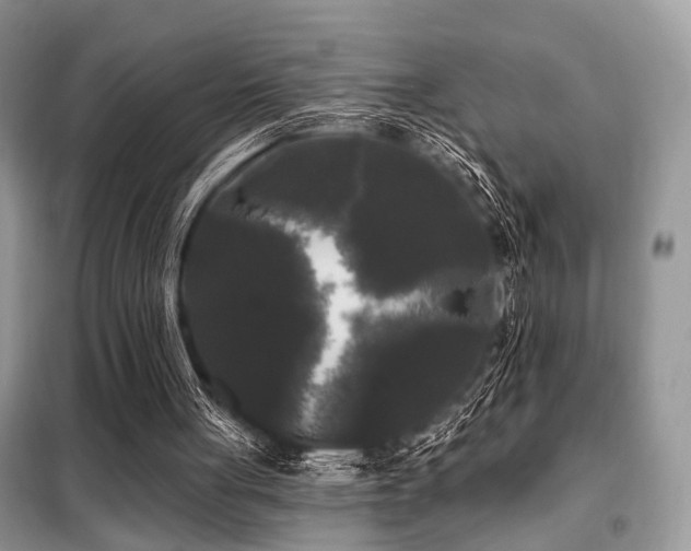 X0000099450051200805091514