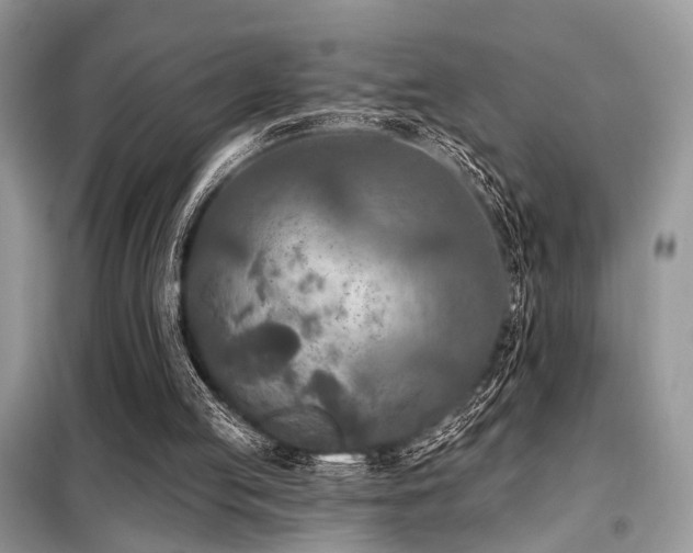 X0000099450053200805091514