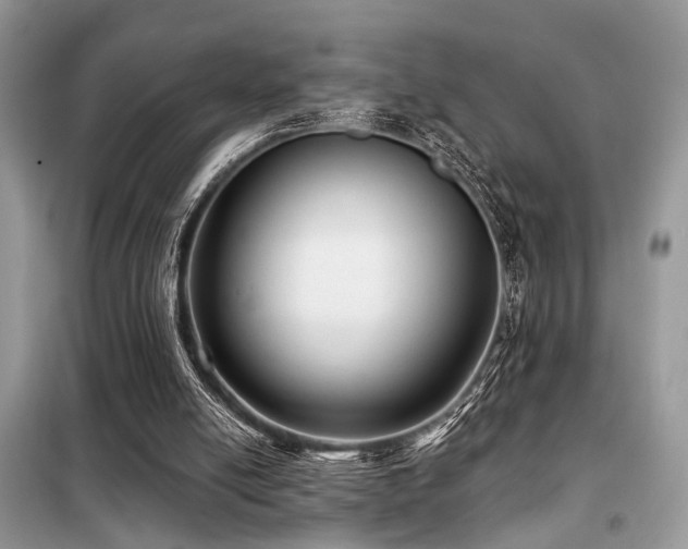 X0000099450054200805091514