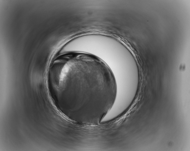 X0000099450055200805091515