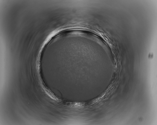 X0000099450056200805091515