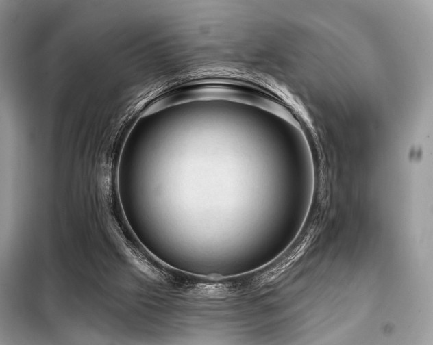 X0000099450057200805091515