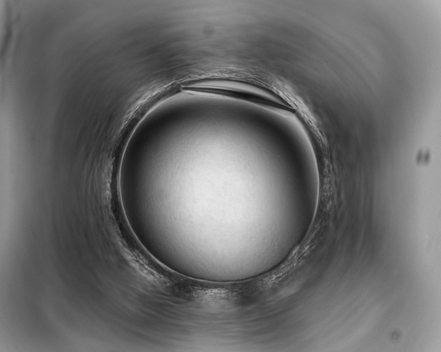 X0000099450058200805091515