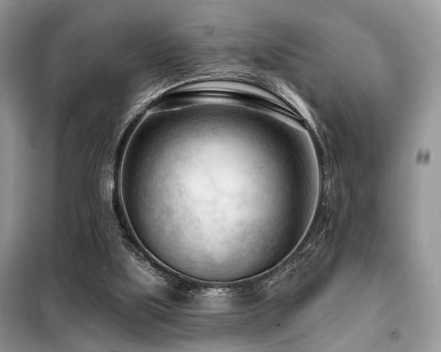 X0000099450059200805091515