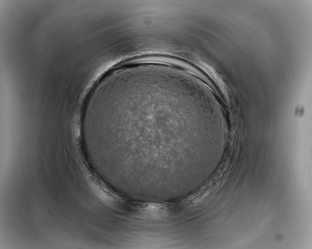 X0000099450060200805091515