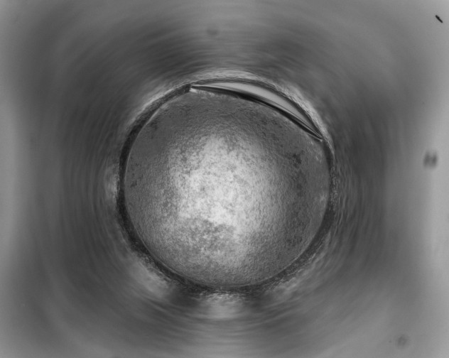 X0000099450063200805091515