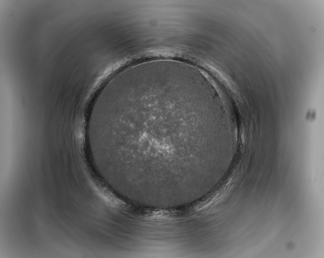X0000099450064200805091515