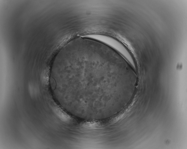 X0000099450065200805091515