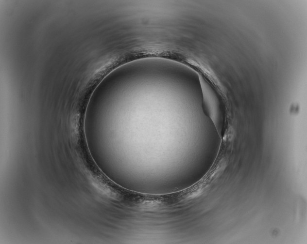 X0000099450066200805091515