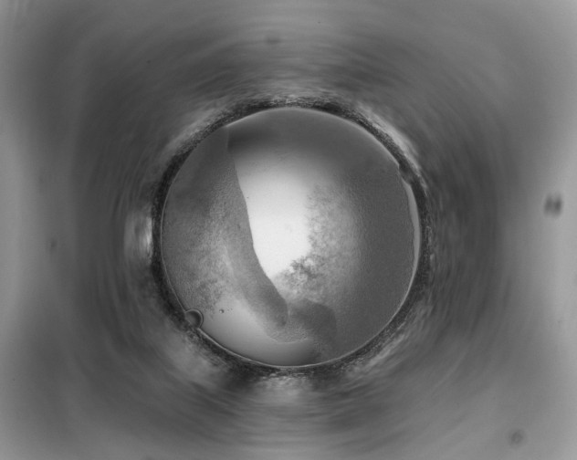 X0000099450067200805091515