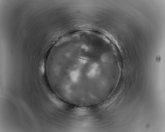 X0000099450069200805091515
