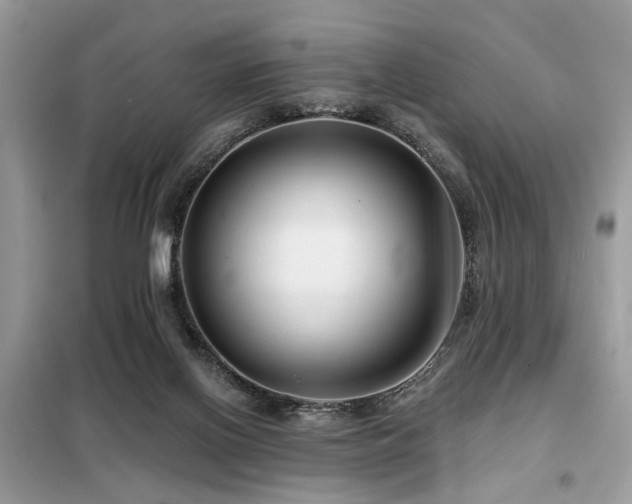 X0000099450070200805091515