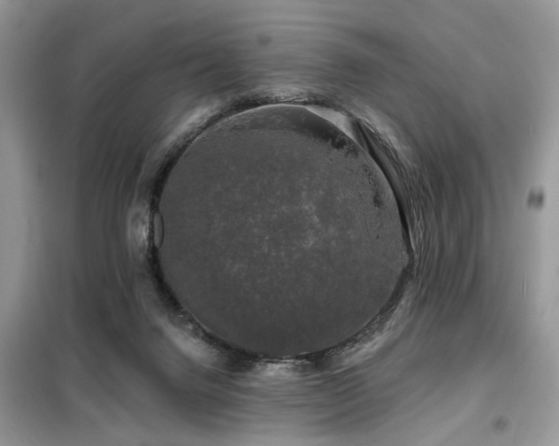 X0000099450072200805091515