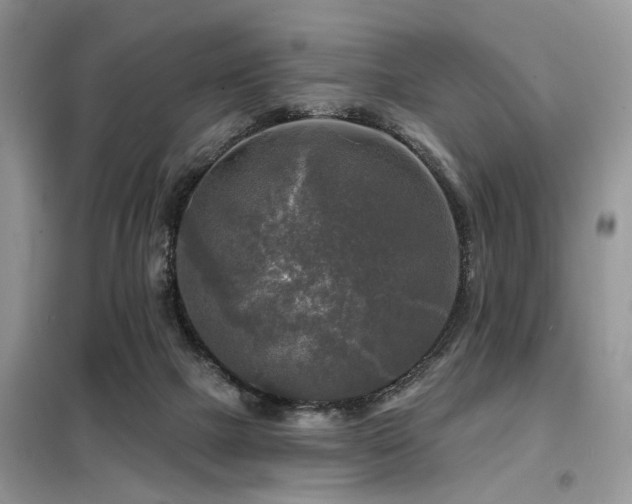 X0000099450073200805091515