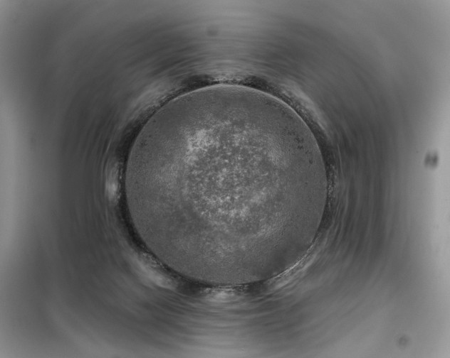 X0000099450074200805091515