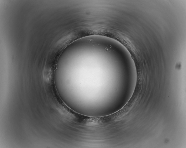 X0000099450077200805091515