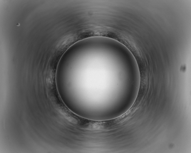 X0000099450078200805091515