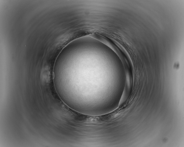 X0000099450080200805091515