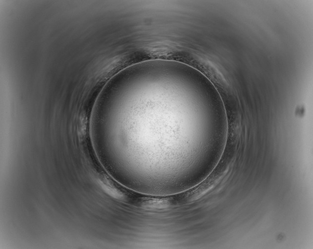 X0000099450081200805091515