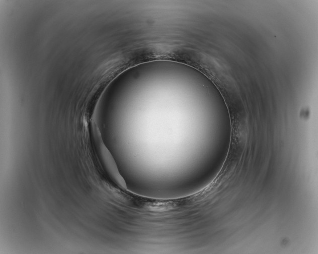 X0000099450082200805091515