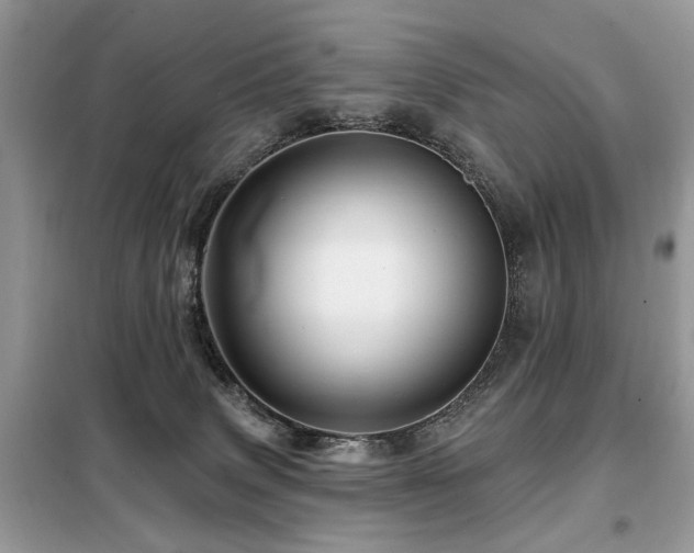 X0000099450083200805091515