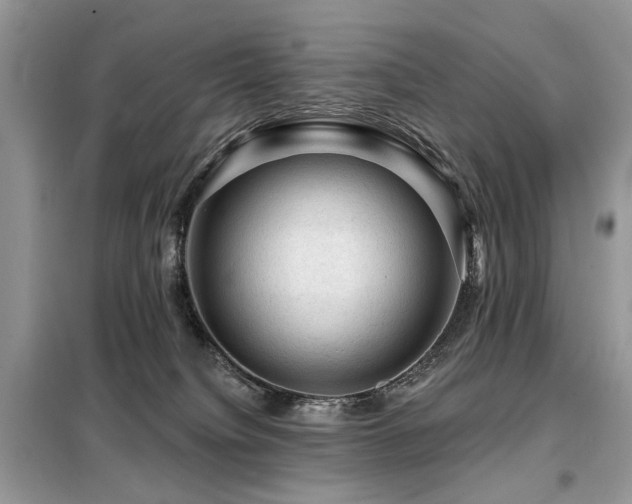 X0000099450084200805091515