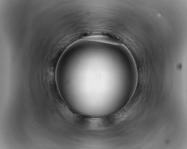 X0000099450085200805091515