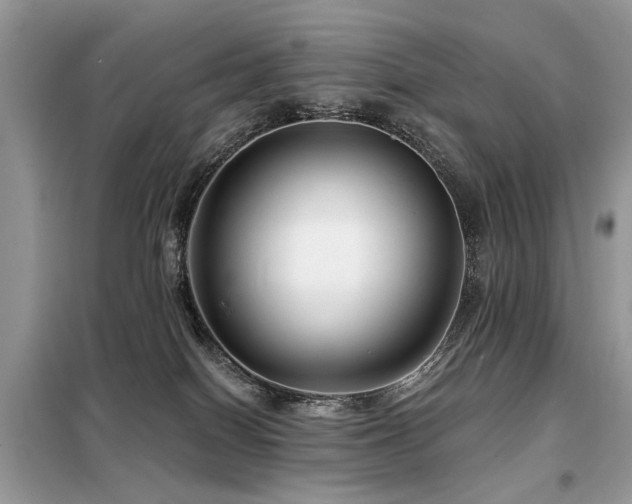 X0000099450086200805091515