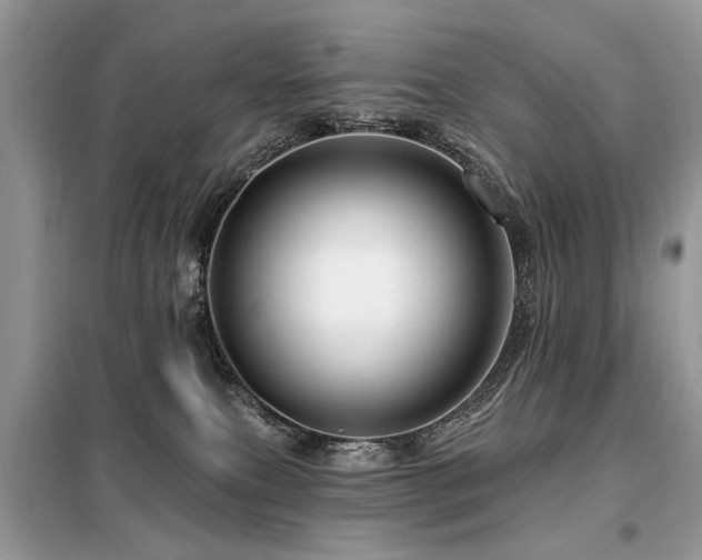 X0000099450087200805091515