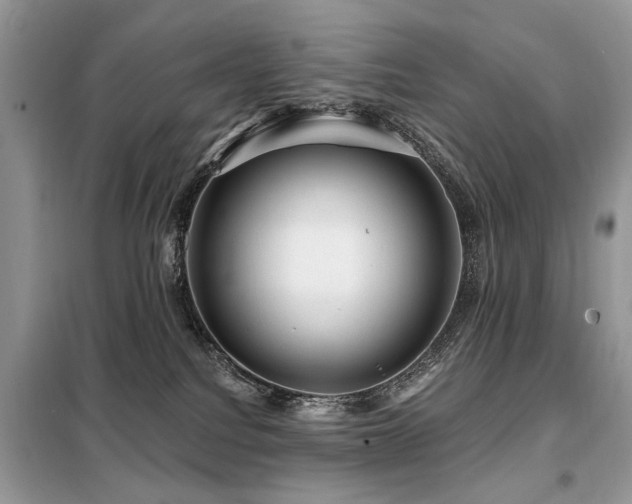 X0000099450088200805091515