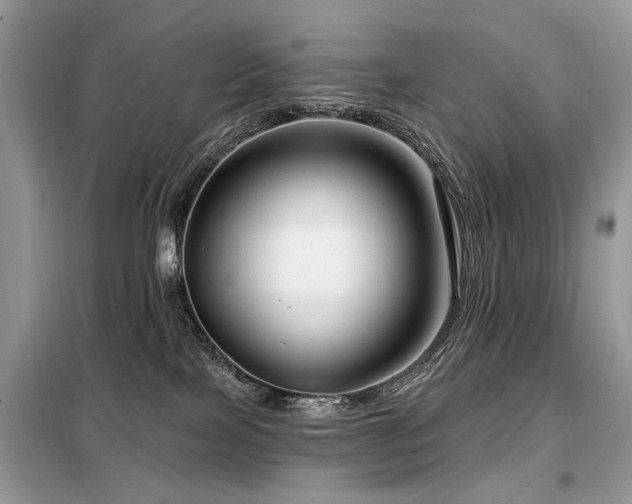 X0000099450089200805091515