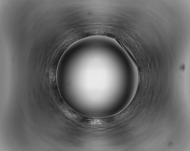 X0000099450091200805091515