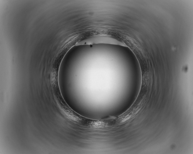 X0000099450092200805091515