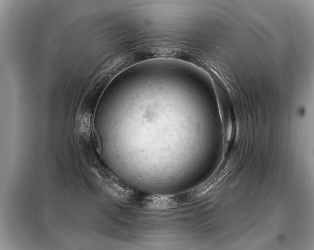 X0000099450093200805091515