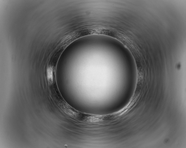 X0000099450094200805091515