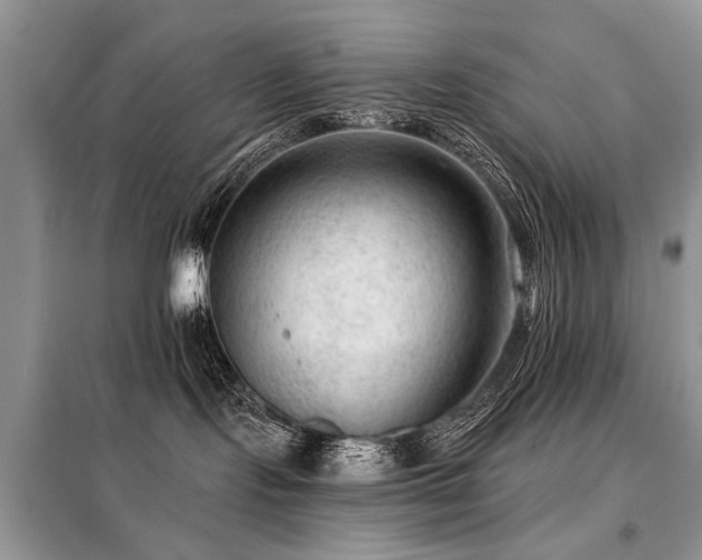 X0000099450095200805091515