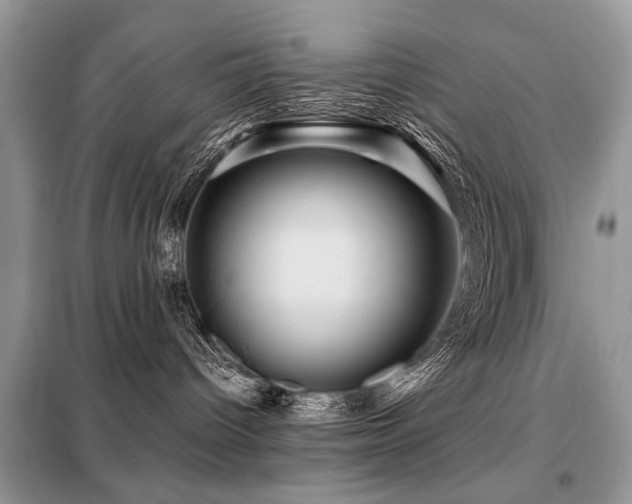 X0000099450096200805091515