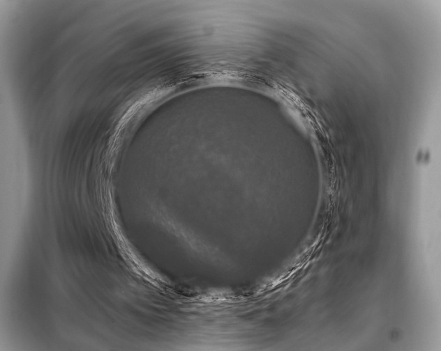 X0000099450097200805091514