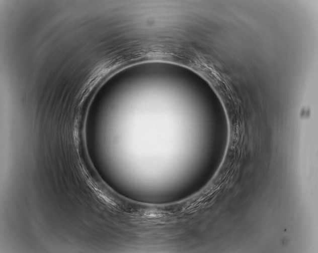 X0000099450098200805091514