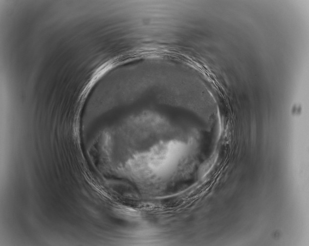 X0000099450099200805091514