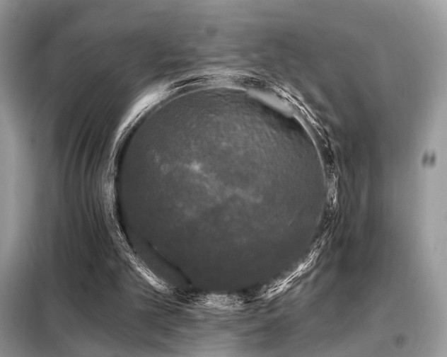 X0000099450101200805091514
